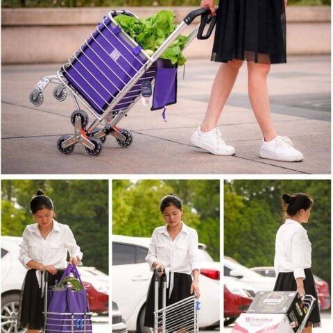 Chariot de courses pliable & robuste